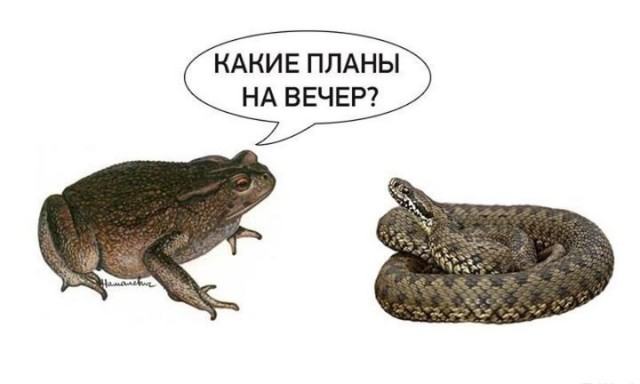Гражданская война в Израиле