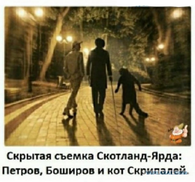 Так себе картинки 20.05.21