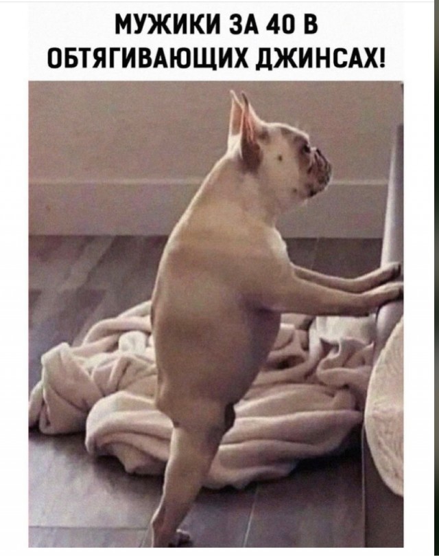 Прикольные и просто красивые картинки 04.06.2021