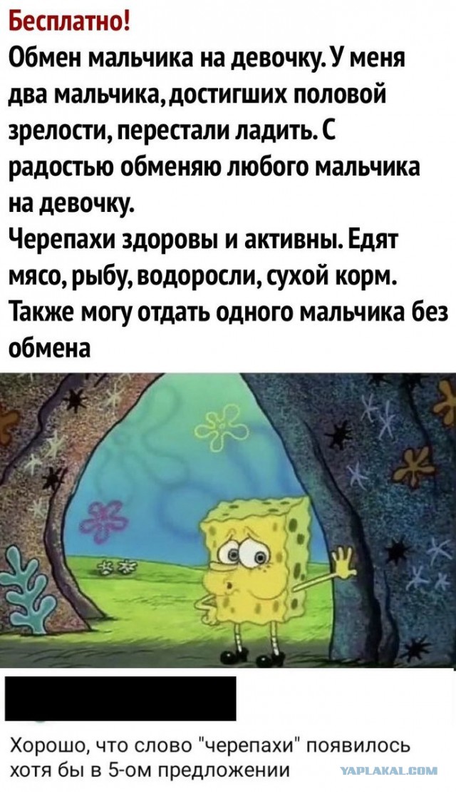 Картинки с надписями и всякие жизненные фразы 27.06.21