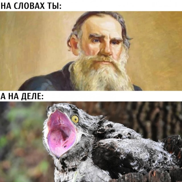 Картинки и мемы для настроения 30.09.2021