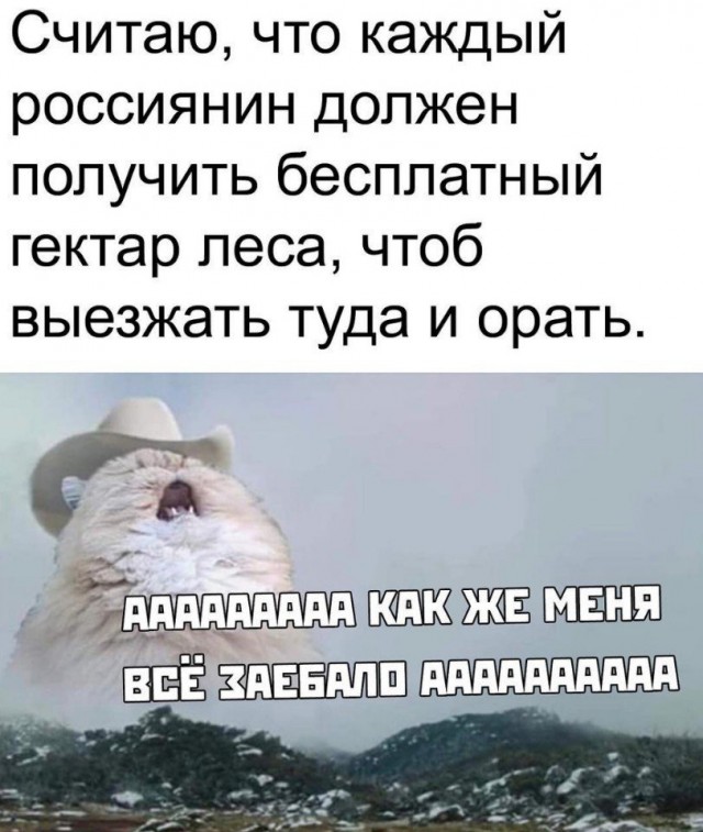 Так себе картинки 05.11.21