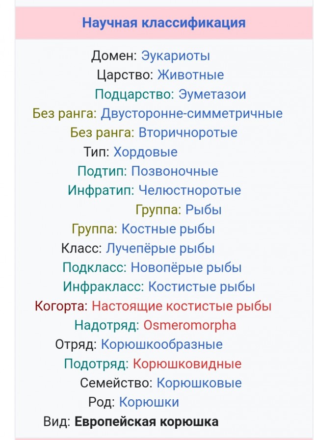 Как я в субботу за корюшкой ездил. Рыболовный пост. Фотоотчет