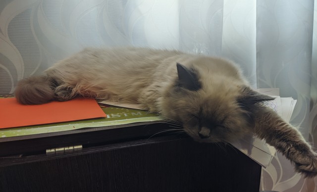 Путь воина