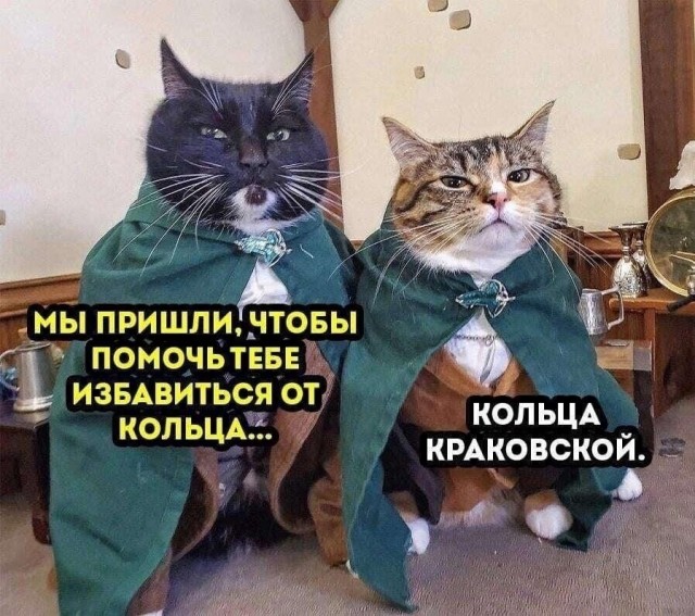 Так себе картинки 04.05.22