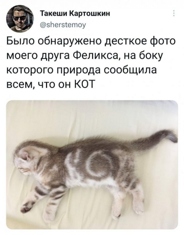 Картинки и мемы для настроения - 19