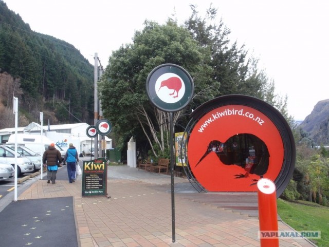 На машине по Новой Зеландии