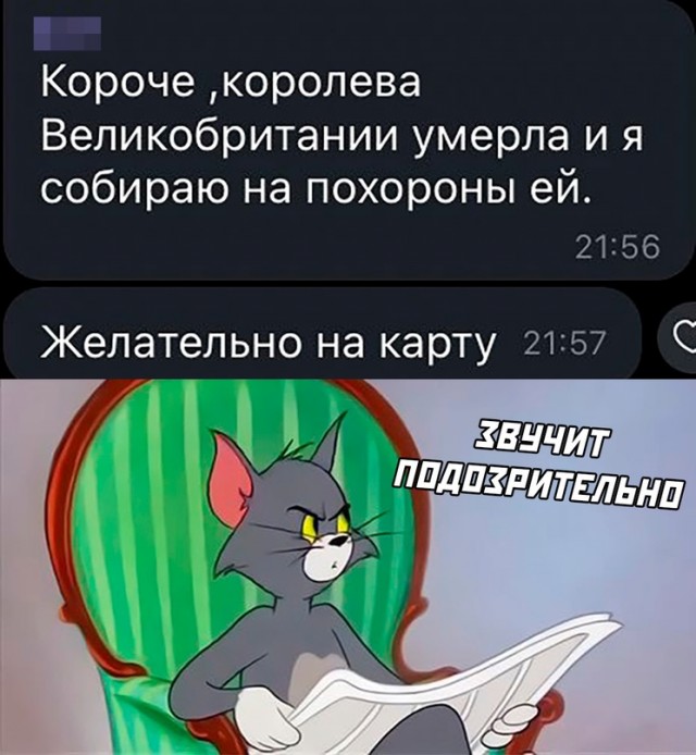 Весёлый полтишок 13.09.22
