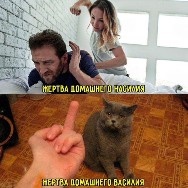 Картинки и мемы, всем хороших выходных