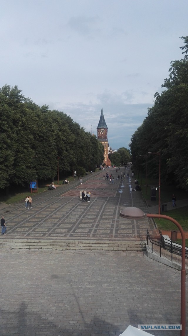 7 дней 8 ночей. Калининград