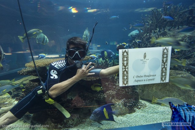 Д.Р. в Бурдж Аль Араб