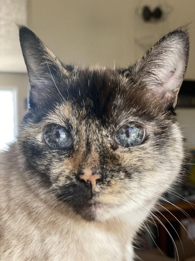 16 неожиданностей, которые преподнёс мир, доказав, что всё удивительное происходит у нас под носом