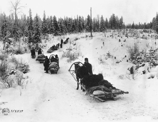 Зимой 1942 года партизаны сумели провезти в Ленинград более двухсот повозок с тоннами хлеба, пшеницы и мяса.