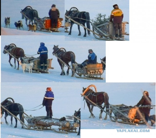 Село Мохча, Ижемский район, Республика Коми.