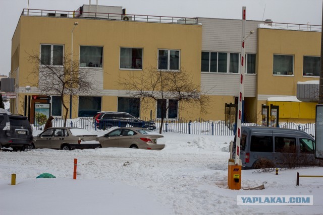 23 марта. Киев. Весна.