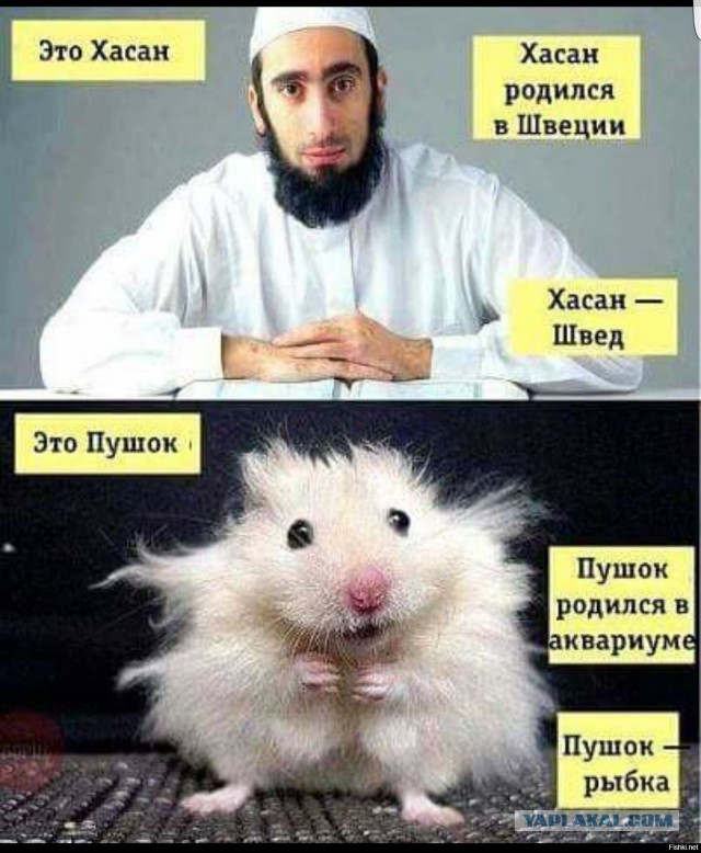 Девушка убила своего двойника, чтобы инсценировать смерть