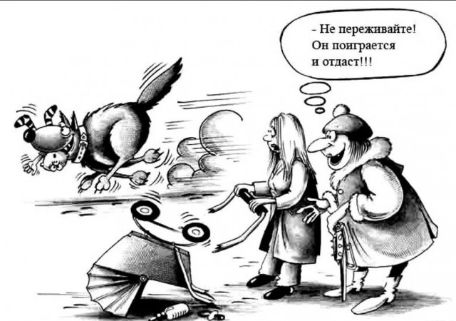 Почему собак всегда надо выгуливать на поводке