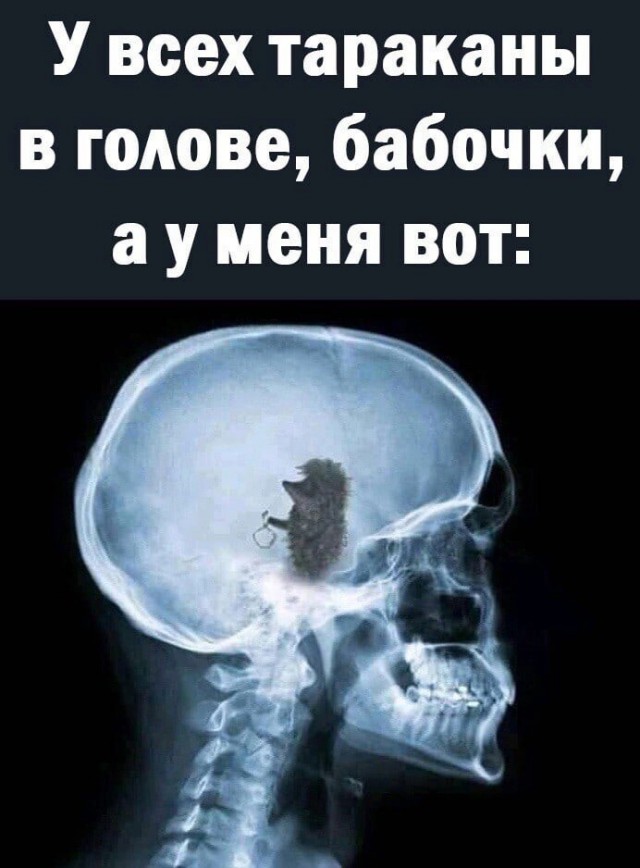 Картинки всякие, баяны тоже