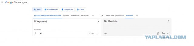 В мясном магазине случился спор двух женщин, которые никак не могли определиться, как правильно: «в Украине» или «на Украине»
