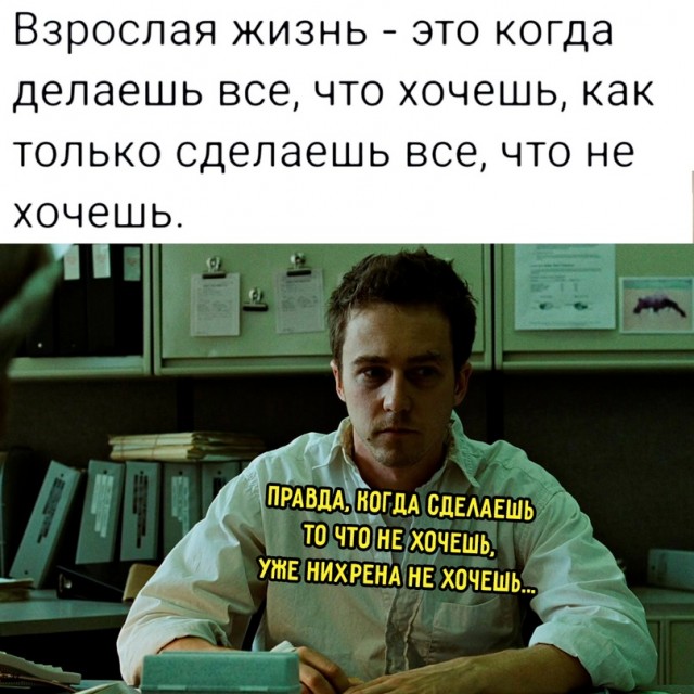 Весёлый полтишок 20.09.23
