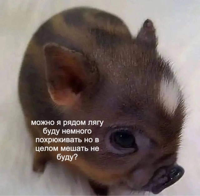 Мемы для самых умных