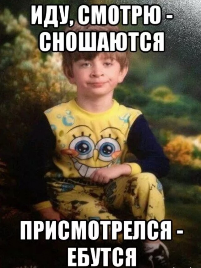 Результат секса косаток с дельфинами. Знакомьтесь: вельфин — гибрид  дельфина и кита