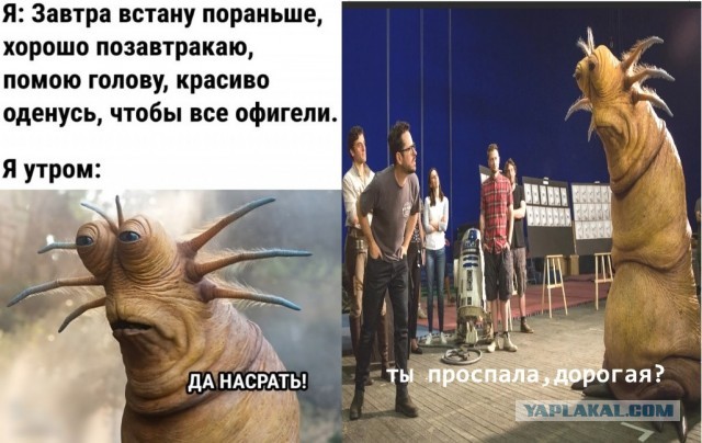 Так себе картинки 28.10.23