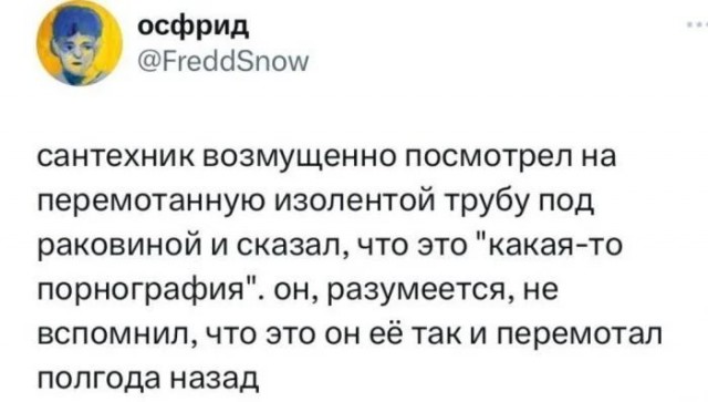 Сантехник с богатой фантазией — горе в семье
