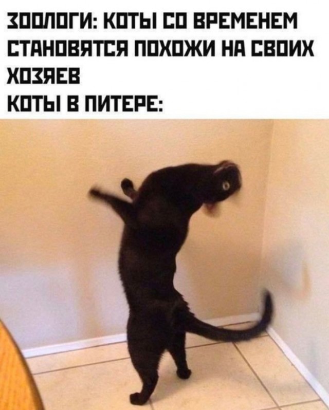Всего понемногу. От 21.01.24