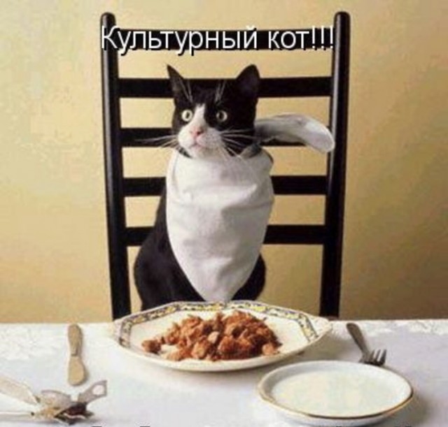 «Какой, на ***, культурный код?»