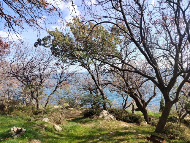Осень в Крыму