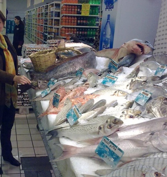 Новый способ рыбалки