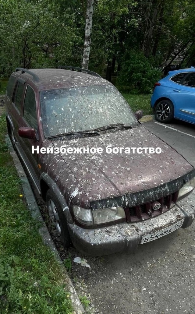 Так себе картинки 31.01.25