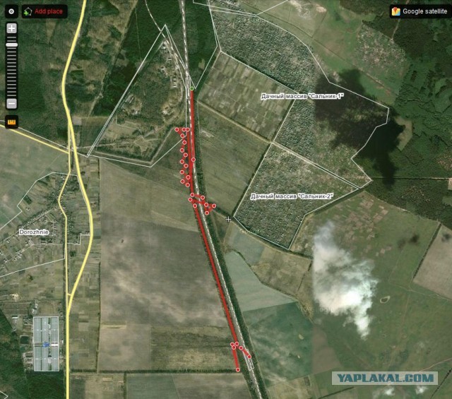 Поход за грибами,