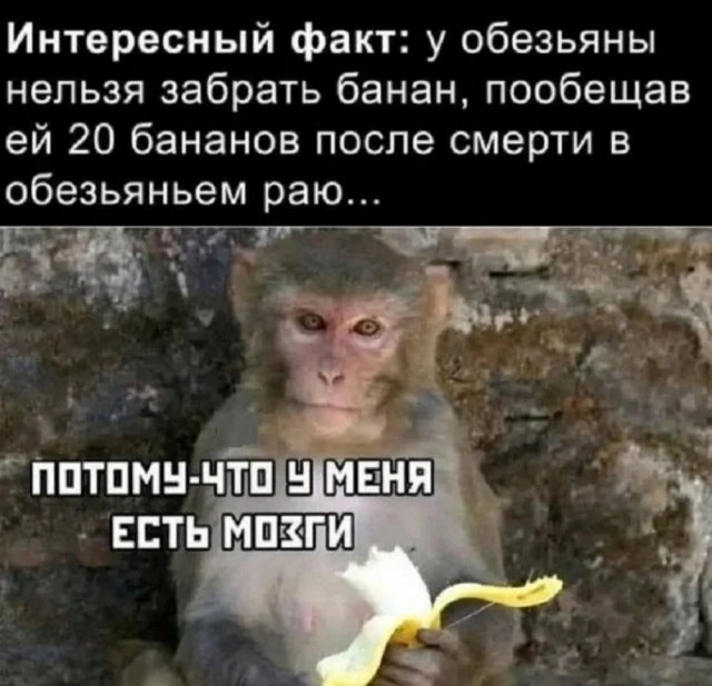 Так себе картинки 12.05.25