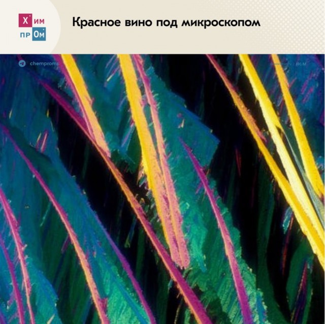 Химия алкоголя в объективе микроскопа