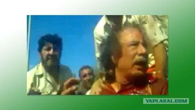 Золотой батон, «Калашников» в машине, женитьба на официантке, гибель сына: куда пропал после Майдана Виктор Янукович