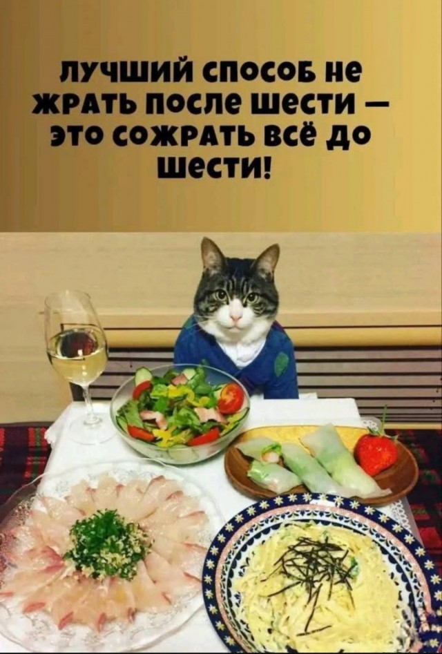 Веселое настроение в картинках (10.07.25)