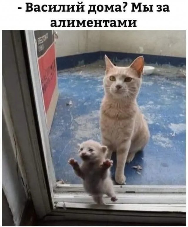 Завалялось тут случайно немного забавных картинок