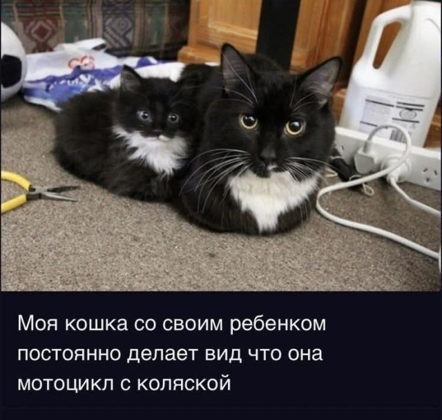 Так себе картинки 22.07.25
