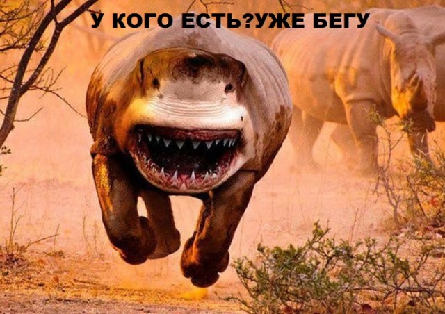 Есть чо еще?