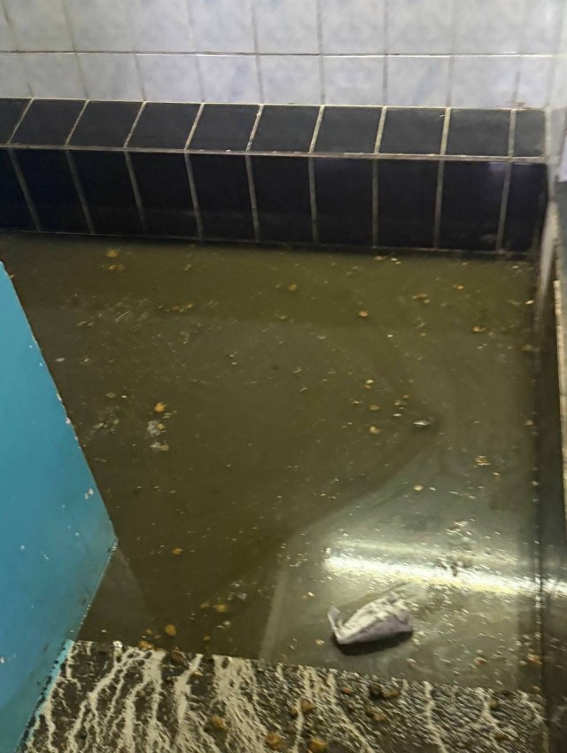 Сами виноваты