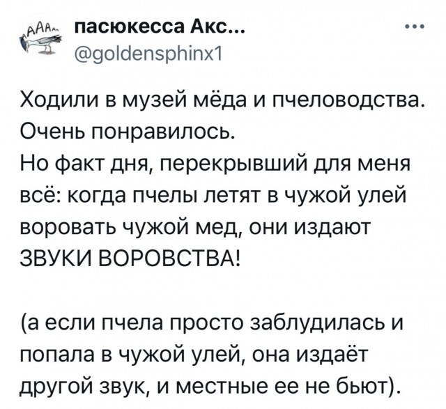 До чего же честные воришки