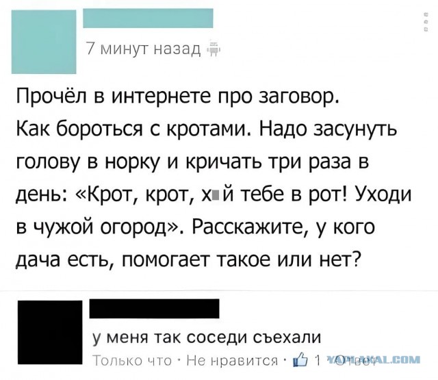 Москвич показал, как бороться с кротами на этаже