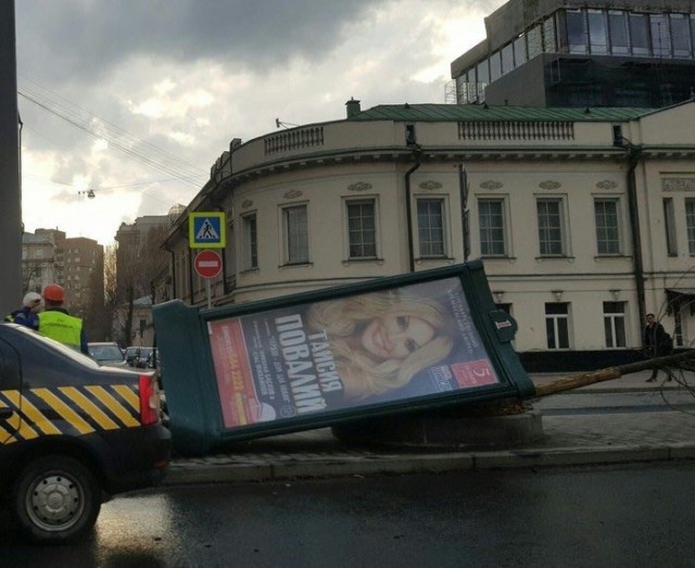 Воскресные картинки