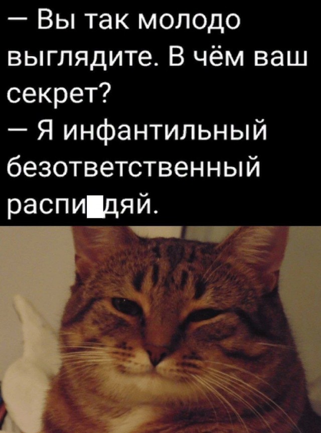 Картинки для деградации 91 (разной степени свежести)
