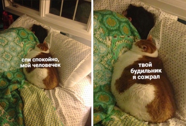Дегрономикон 4