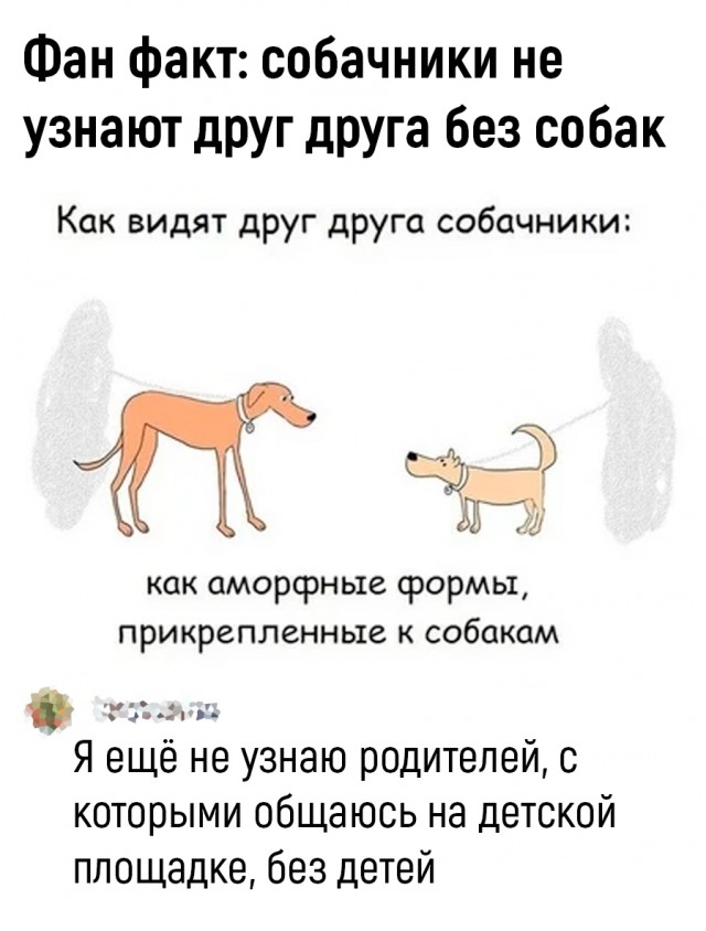 Так себе картинки 04.12.25
