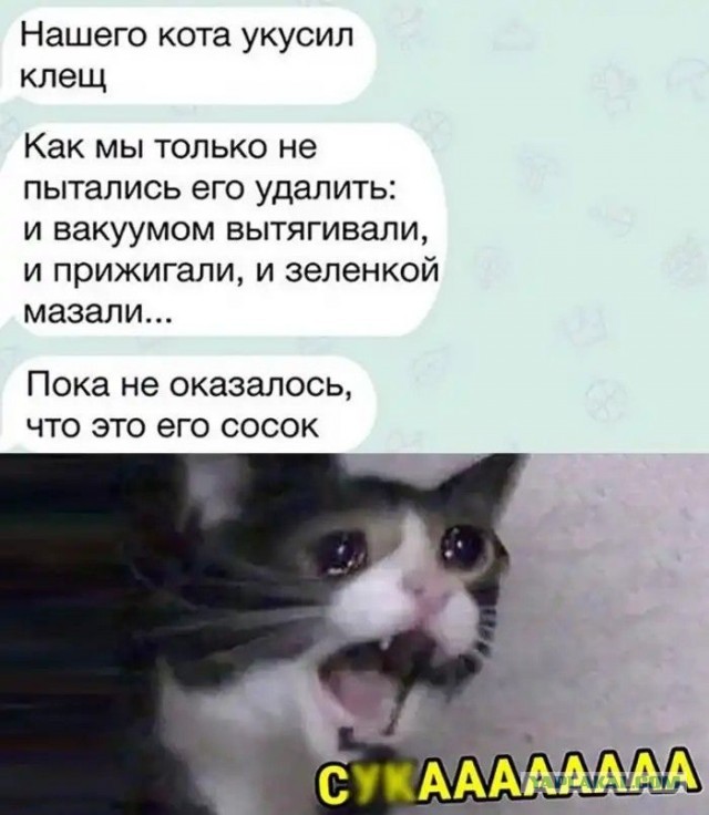 Зачем мужчинам соски на груди?