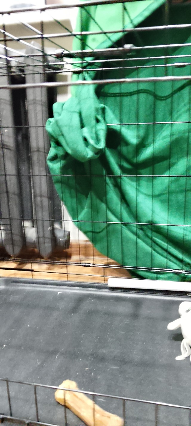 Побарагозили.